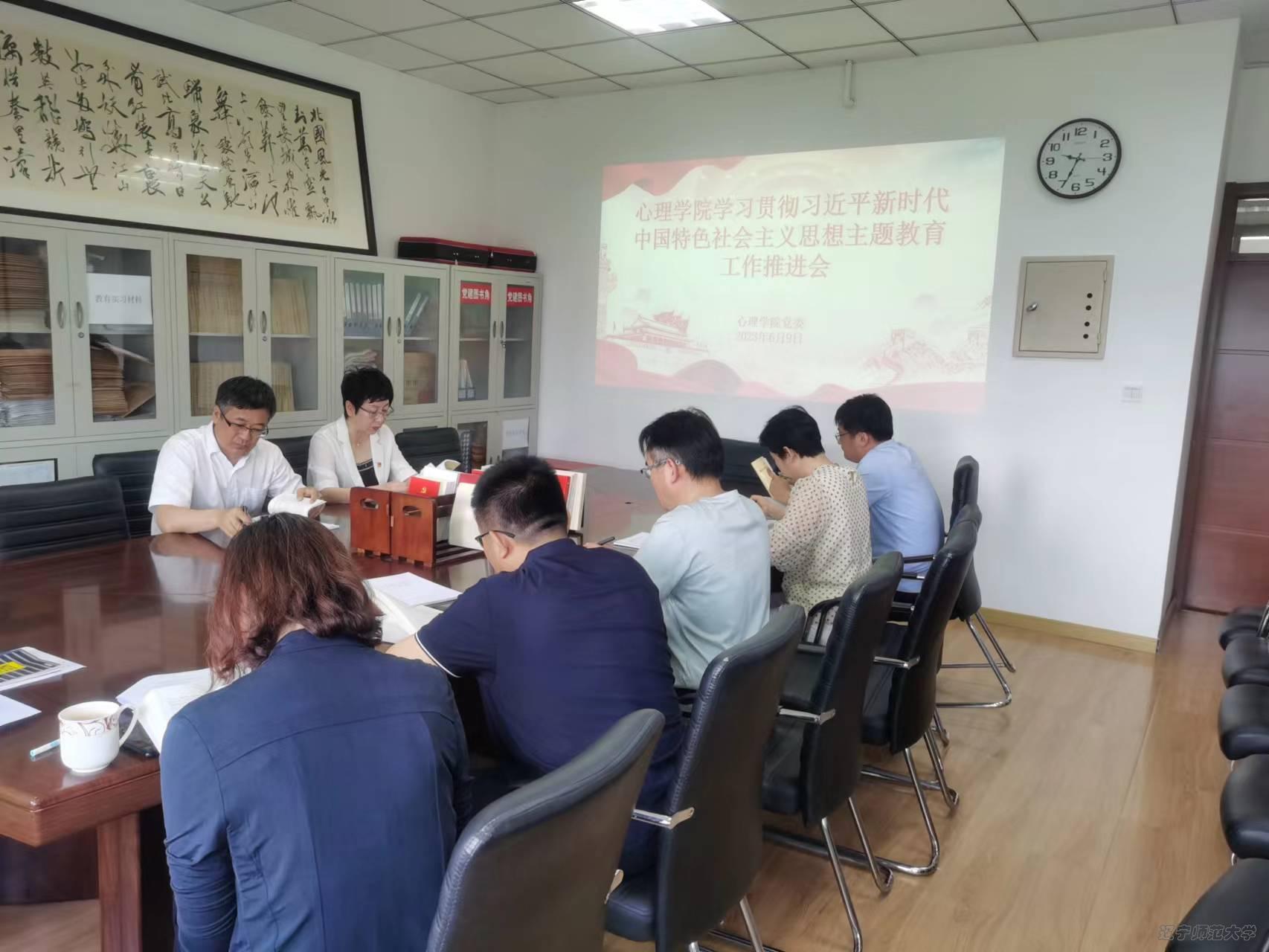 心理学院召开学习贯彻习近平新时代中国特色社会主义思想主题教育工作推进会